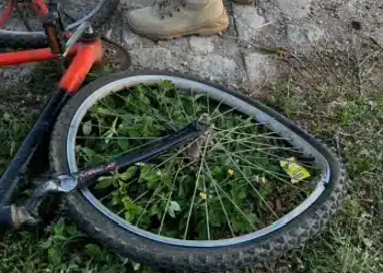 Irmãos morrem atropelados por caminhão de lixo em Sousa