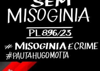 LEVANTE MULHERES VIVAS E MOVIMENTOS DE MULHERES CONVOCAM ATO PELA CRIMINALIZAÇÃO DA MISOGINIA