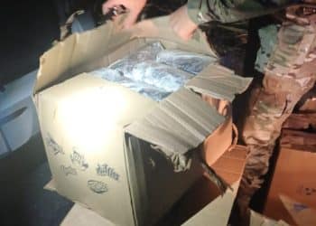 PRF apreende mais de 26 kg de maconha na BR-101 em João Pessoa com apoio da Polícia Civil