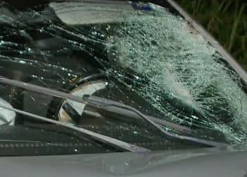 Motorista presta depoimento e é liberado após acidente que matou mulher na PB-008