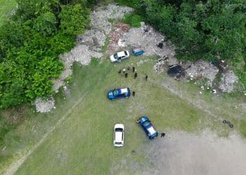 Guarda Civil Metropolitana prende mais três pessoas por crime ambiental durante ação integrada
