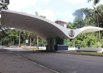 MPT recomenda que UFPB adote plano institucional para impedir acesso de gatos a ambientes internos e reforçar segurança sanitária