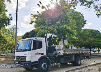 Sedurb inicia a semana realizando podas de árvores em bairros da Capital