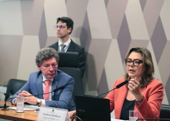 Comissão vota na segunda-feira MP que acaba com “taxa das blusinhas” para compras de até 50 dólares
