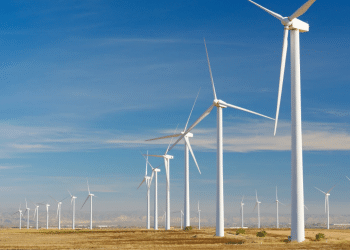 Paraíba alcança autossuficiência energética e se consolida como exportadora de energia limpa