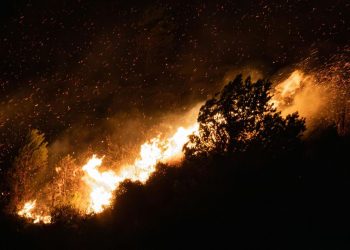Combate a incêndio no Sertão: Bombeiros entram no 4º dia Cmconsecutivo de ações no interior da Paraíba